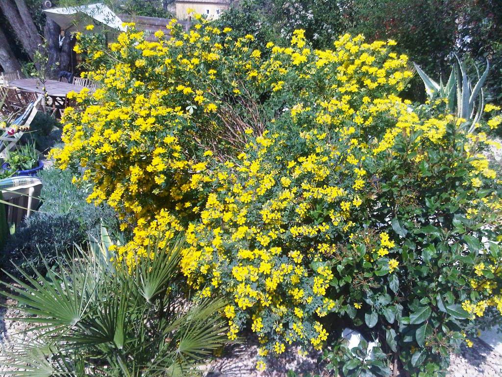 IMG00117-20100416-1146