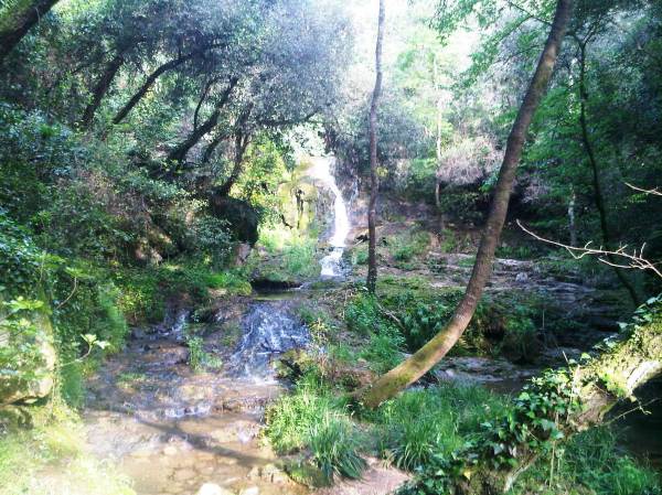 IMG00049-20100508-0806