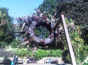 IMG00401-20100925-1149