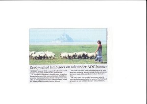 Sheep aoc