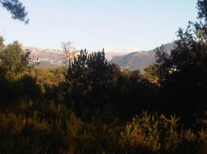 a better if still indistinct picture of the first snows at Greoliere