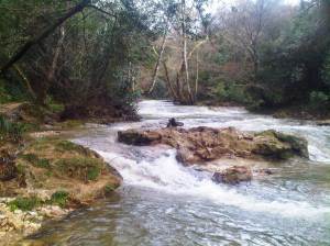 The Brague between Valbonne and biot