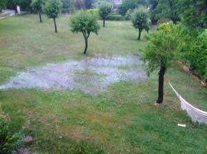 IMG00578-20110605-1407