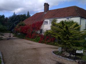 Virginia creeper turning red, a warning that autumn is in full effect and winter is around the corner.