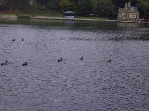 Swanbourne Lake Swanbourne Lake
