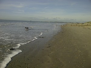 West Wittering sand