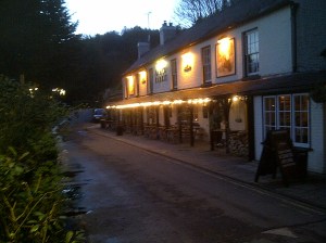 Picture of Black Rabbit at night
