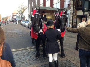 Fine young filly in Chichester