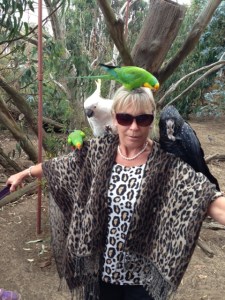 That Nice Lady Decorator gives the birds the birds