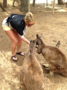 wallabies