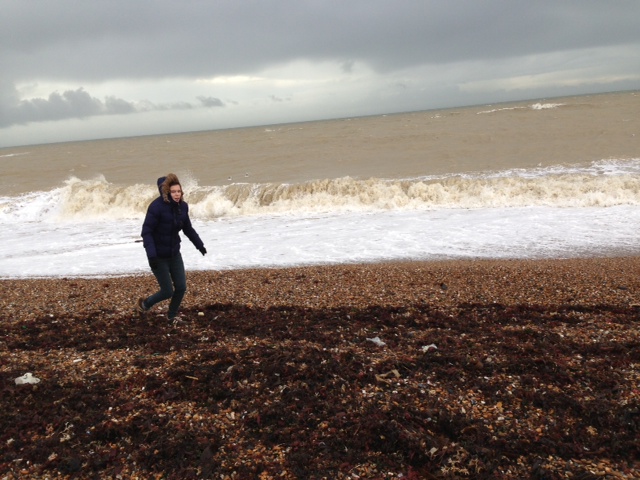 Clymping beach in winter