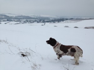Snowy south Downs