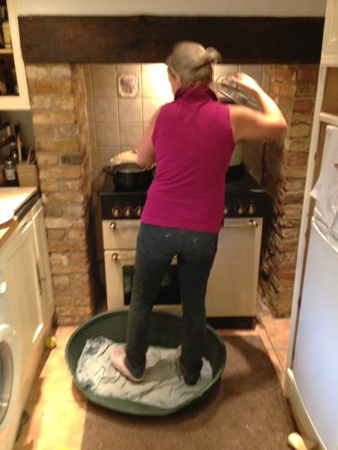 decorator in dog basket