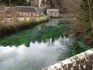 Green bloom in Arundel Mill in Arundel