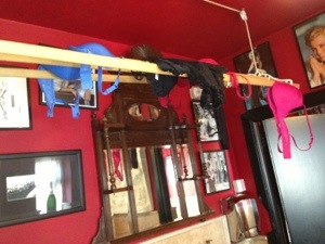 The uplifting toilet at the Crab and Lobster in Asenby hanging bras