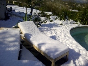 Global warming is a menace. Look what happened in Valbonne last winter. winter in Valbonne