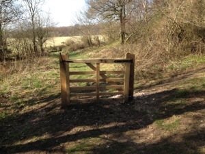 One door opens... gate in woodd