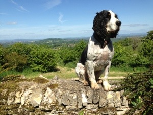 Even he is better than DIY than I