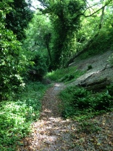 Walking near Warningcamp Sussex Downs walking