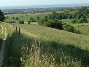 Sussex countryside