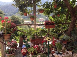 dwarves or gnomes, you decide