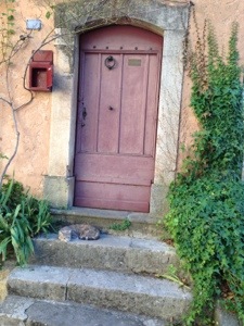 sleepy cat in Valbonne