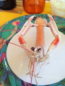picture of langoustine