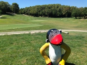 monkey on a golf course