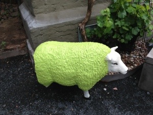 green sheep