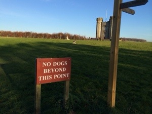 Arundel castle grounds