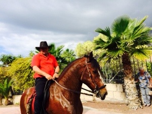 horse bathing in Tenerife