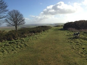 sussex walk