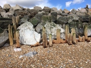 beach groins eroded