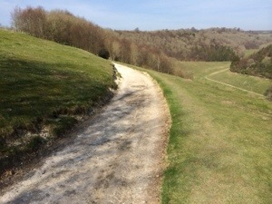 arundel castle estate