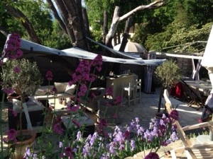 That Nice Lady Decorator prepares for my successful home coming by sprucing up the web