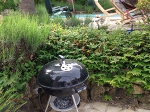 barbecue in Valbonne